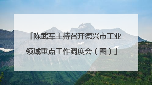 陈武军主持召开德兴市工业领域重点工作调度会（图）